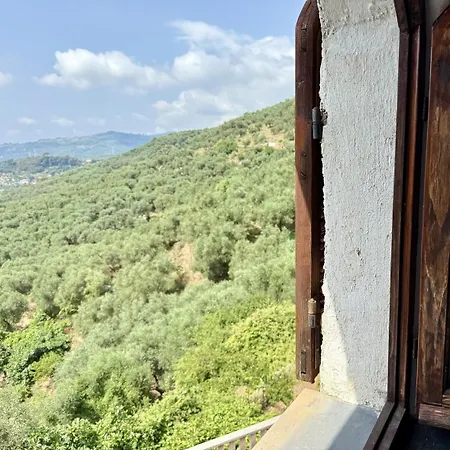 Διαμέρισμα Host4u - Cozy Warm House With Beautiful View On The Olives Valley