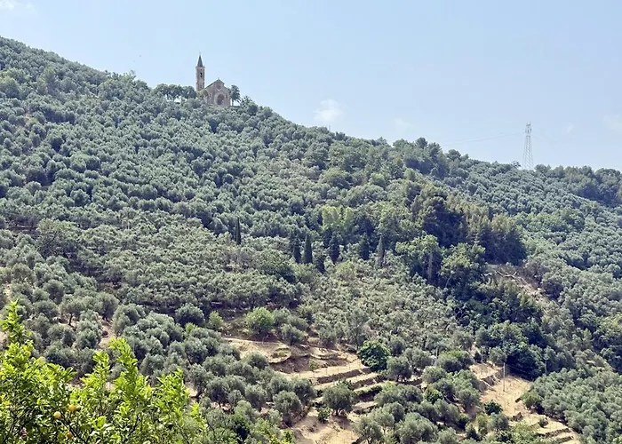 Host4u - Cozy Warm House With Beautiful View On The Olives Valley
